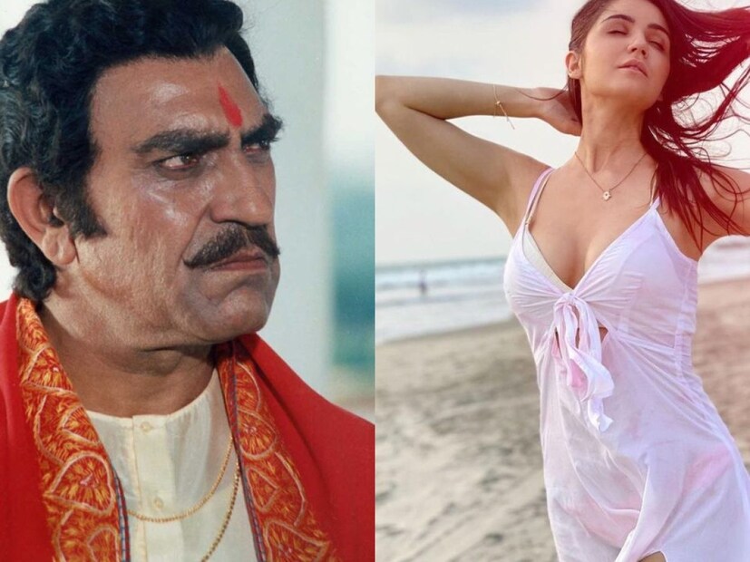 পর্দায় তিনি থাকা মানেই একরাশ ভয়। লাল চোখে হুঙ্কার ছাড়লে সব চুপ! পর্দার জনপ্রিয় ভিলেনের হিংস্রতা বেশ কয়েক গুণ বাড়িয়ে দিয়েছিল তাঁর চেহারার ক্রূরতা। এমন খলনায়কের এত সুন্দরী মেয়ে? 