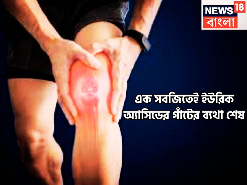 পিউরিন নামক প্রোটিন ভেঙে গেলেই ইউরিক অ্যাসিডের বাড় বাড়ন্ত হয়ে থাকে শরীরে ৷ কিডনি ফিল্টার করে বা ছেঁকে ধরে ৷ প্রতীকী ছবি ৷
