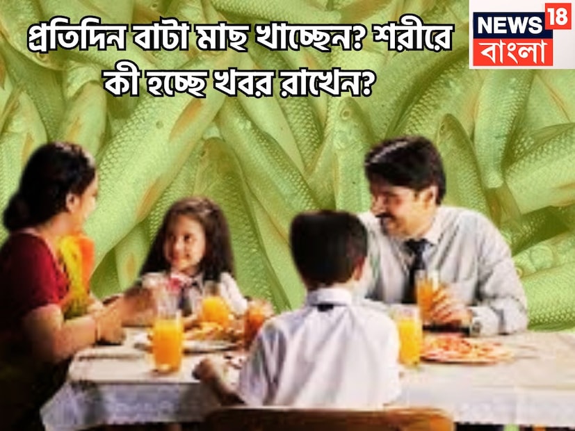 বাজারে গেলেই অনেক ধরনের মাছ চোখে পড়ে, অনেক সময়ে দামি মাছ কেনার জন পকেট পারমিট করেনা ৷ তাই দামি মাছ ছেড়ে কখনও কখনও সস্তার মাছও কিনতে হয় ৷ প্রতীকী ছবি ৷