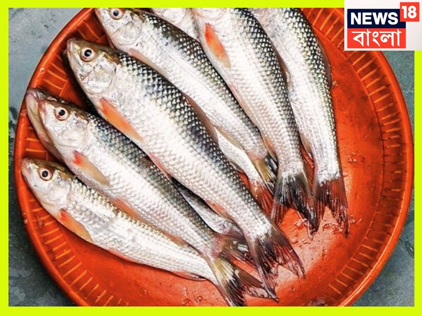 তবে যদি প্রতিদিন বাটা মাছ খেলে শরীরে কী কী হতে পারে? উচ্চবিত্ত থেকে মধ্যবিত্ত প্রতিটি বাড়িতেই প্রায় প্রতিদিনই বাটা মাছ আসে ৷ প্রতীকী ছবি ৷