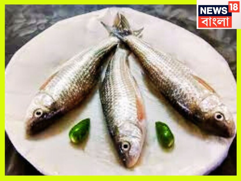 বাটা মাছ উচ্চ রক্তচাপ বা হাই ব্লাডপ্রেশার নিয়ন্ত্রিত করে ৷ তাই নিয়মিত বাটামাছ পাতে থাকলে রক্তচাপ নিয়ন্ত্রিত থাকবে সহজেই ৷ প্রতীকী ছবি ৷
