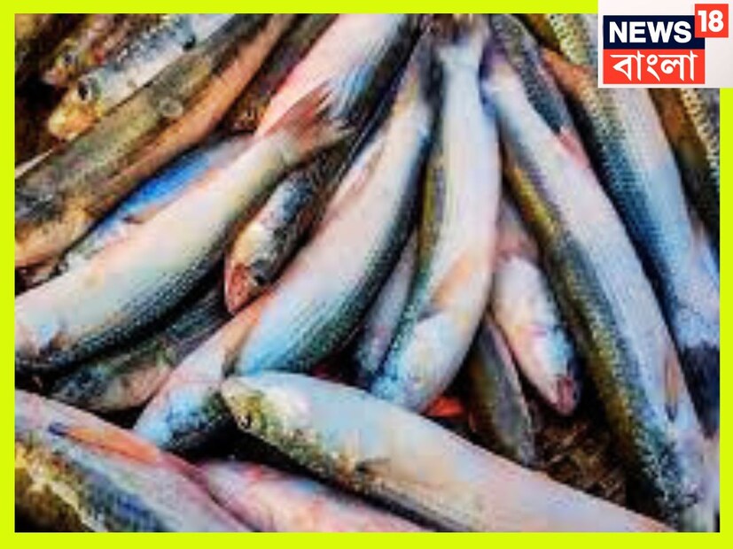 মানসিক সমস্যা আগের থেকে আরও মিটে যায় ৷ টেনশন বা দুশ্চিন্তা অতি সহজেই শেষ হয়ে যায় ৷ বড় থেকে শিশুদের পুষ্টিতে বাটামাছ অত্যন্ত পরিমাণে কাজে লাগে ৷ প্রতীকী ছবি ৷