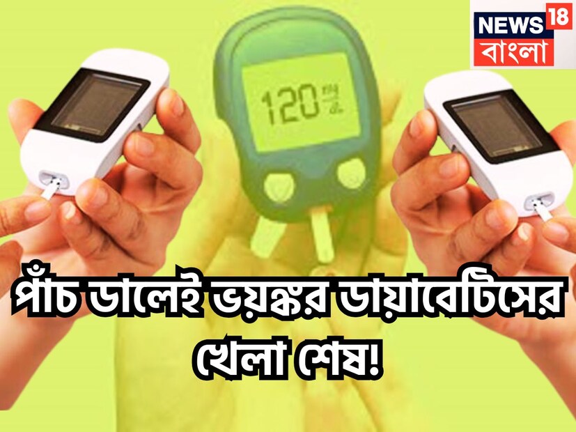 ডায়াবেটিসের জন্য পাঁচটি ডাল অত্যন্ত গুরুত্বপূর্ণ ৷ রক্তে ইনসুলিনের পরিমাণ কমতে থাকলেই শর্করার পরিমাণ বাড়তে থাকে ৷ এরফলেই সুগার শরীরকে ছিন্নভিন্ন করতে থাকে ৷ প্রতীকী ছবি ৷