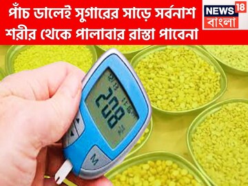 পাঁচ ডালেই ডায়াবেটিসে শাপমোচন! চড়ে থাকা সুগার আছড়ে মাটিতে, শরীর ফুরফুরে ফিটফাট সারাদিন