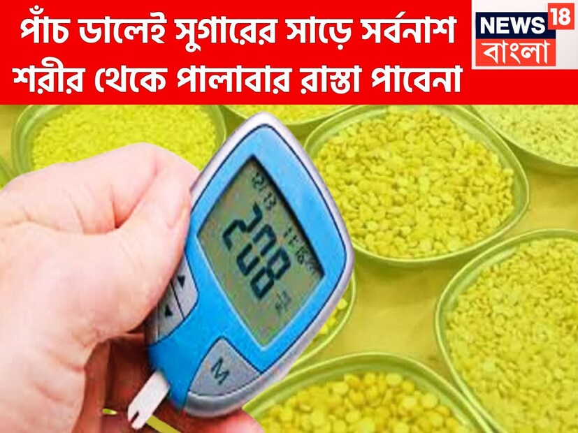 ডায়াবেটিসের জন্য পাঁচটি ডাল অত্যন্ত গুরুত্বপূর্ণ ৷ রক্তে ইনসুলিনের পরিমাণ কমতে থাকলেই শর্করার পরিমাণ বাড়তে থাকে ৷ এরফলেই সুগার শরীরকে ছিন্নভিন্ন করতে থাকে ৷ প্রতীকী ছবি ৷