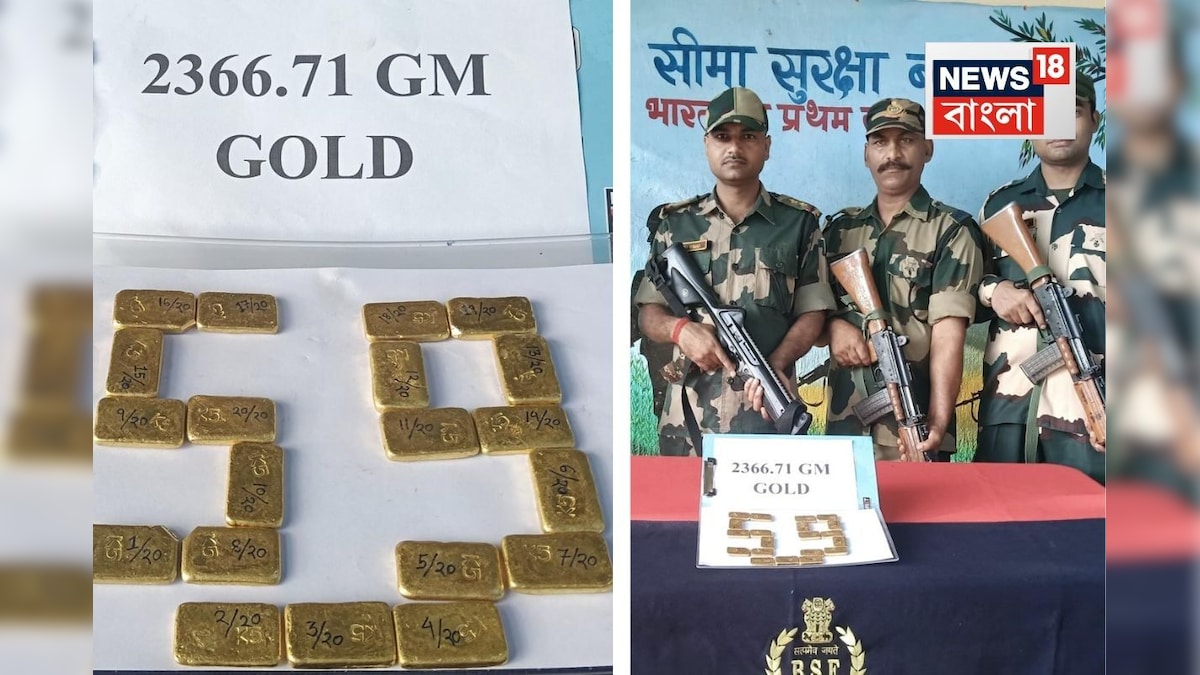 Gold Recover in India-Bangladesh Border: বিএসএফের বড় সাফল্য, সাইকেলের টায়ারে লুকনো ২.৩১ কোটি টাকার সোনা বাজেয়াপ্ত !