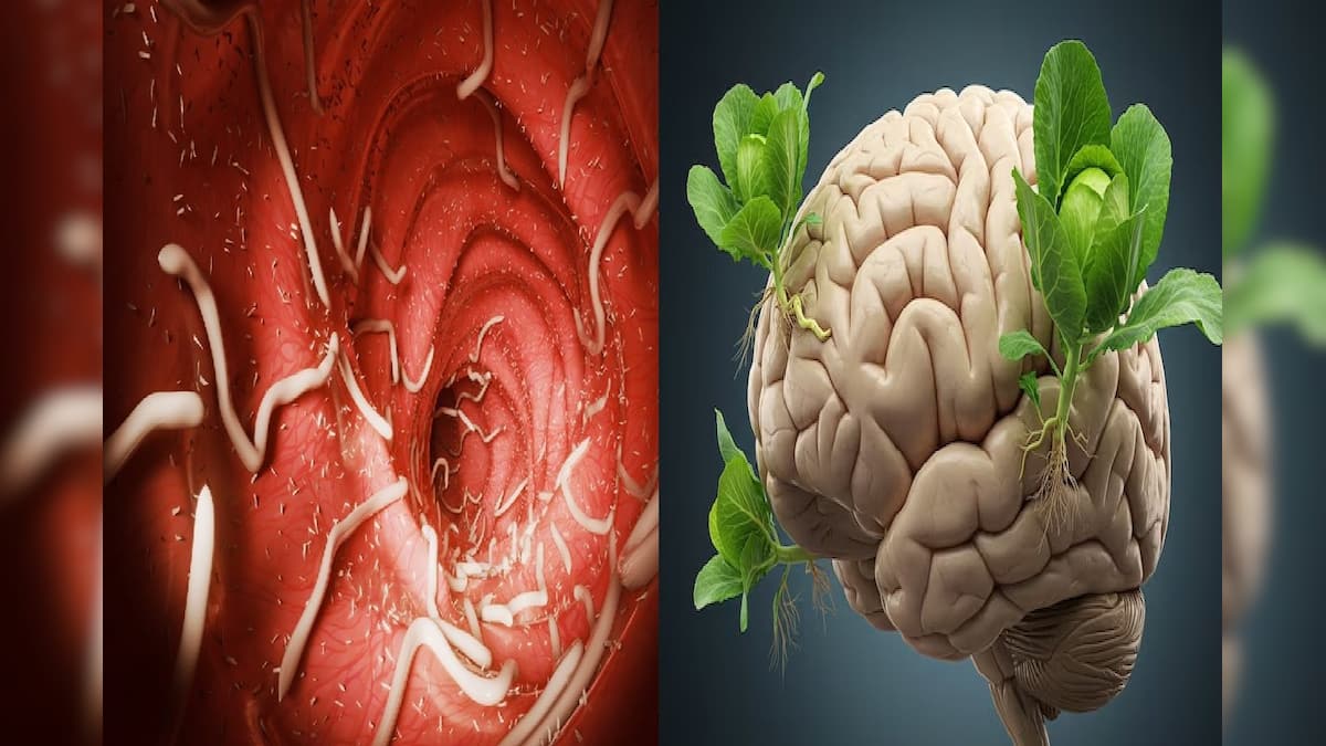 Brain Worm: বর্ষায় হামেশাই 'এই' সবজি খাচ্ছেন? মস্তিষ্ক পেঁচিয়ে ধরবে ...