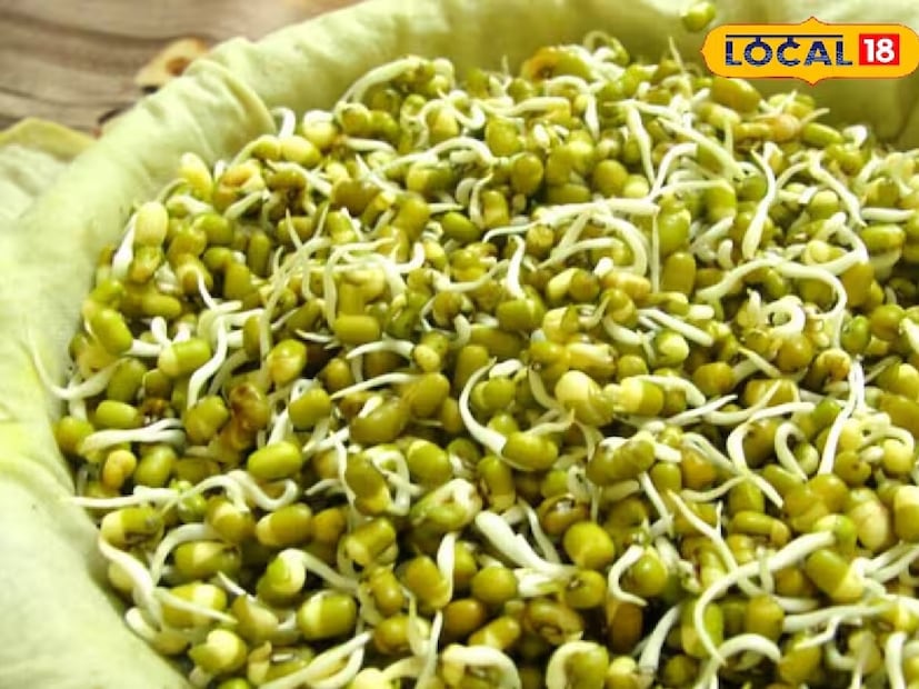 🔹 বাদাম ও বীজ (আমন্ড, চিনেবাদাম, ফ্ল্যাক্স সিড):ঘুম বাড়াতে সাহায্য করে এমন উপাদান যেমন ম্যাগনেশিয়াম ও ট্রিপটোফ্যানে ভরপুর। রাতের ক্ষুধা কমায় এবং ভাল ফ্যাট দেয়।

