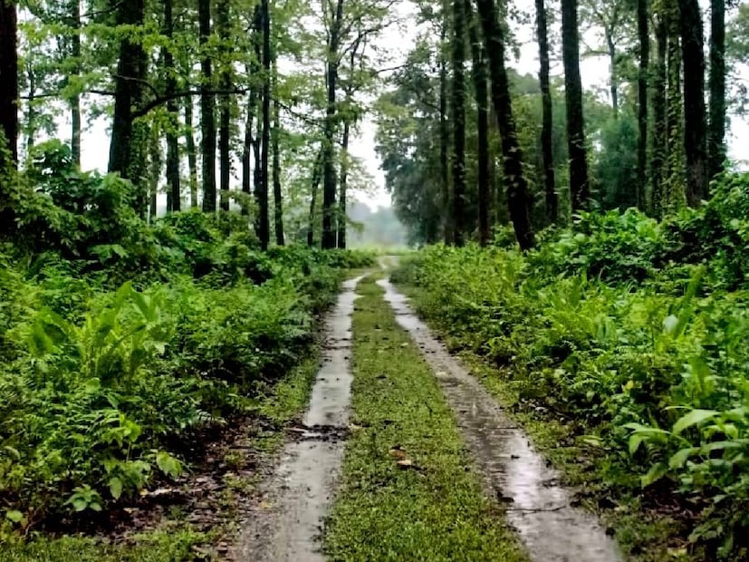 ডুয়ার্স :: পরিষ্কার আকাশ। গত চব্বিশ ঘণ্টায় সর্বচ্চ তাপমাত্রা ছিলো ৩৩ডিগ্রি সেলসিয়াস। সর্বনিম্ন তাপমাত্রা ২৭ ডিগ্রি সেলসিয়াস।