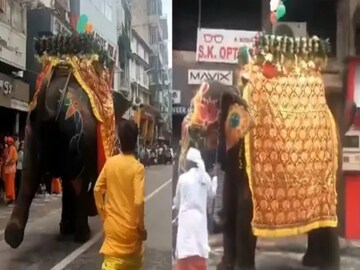 Rath Yatra 2025 Chaos: আহমেদাবাদে রথযাত্রায় বিপত্তি ! মেজাজ হারিয়ে রাস্তায় তাণ্ডব হাতির, কোনও রকমে প্রাণে বাঁচলেন পূণ্যার্থীরা Rath Yatra 2025 Chaos: আহমেদাবাদে রথযাত্রায় বিপত্তি ! মেজাজ হারিয়ে রাস্তায় তাণ্ডব হাতির, কোনও রকমে প্রাণে বাঁচলেন পূণ্যার্থীরা