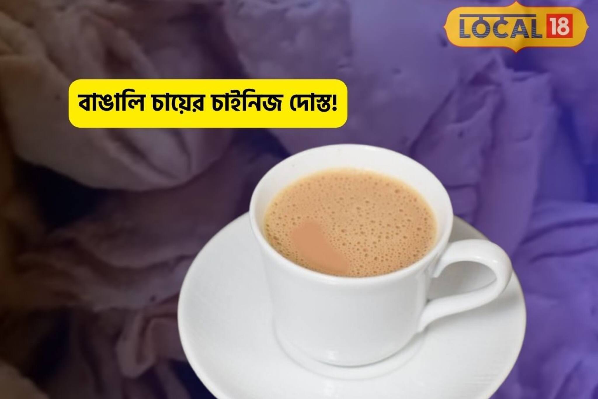 বাঙালি চায়ের আড্ডাতেও ঢুকে পড়ল চাইনিজ স্ন্যাক্স! সুস্বাদু, একবার খেলে বারবার খেতে চাইবেন