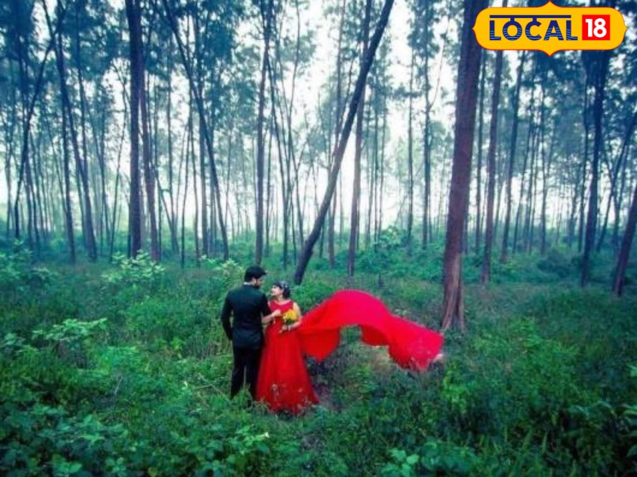 প্রি-ওয়েডিং ফটোশ্যুটের জন্য সুন্দর জায়গা খুঁজছেন?সবুজ ঘেরা এই লোকেশন হবে জীবনভরের Frame