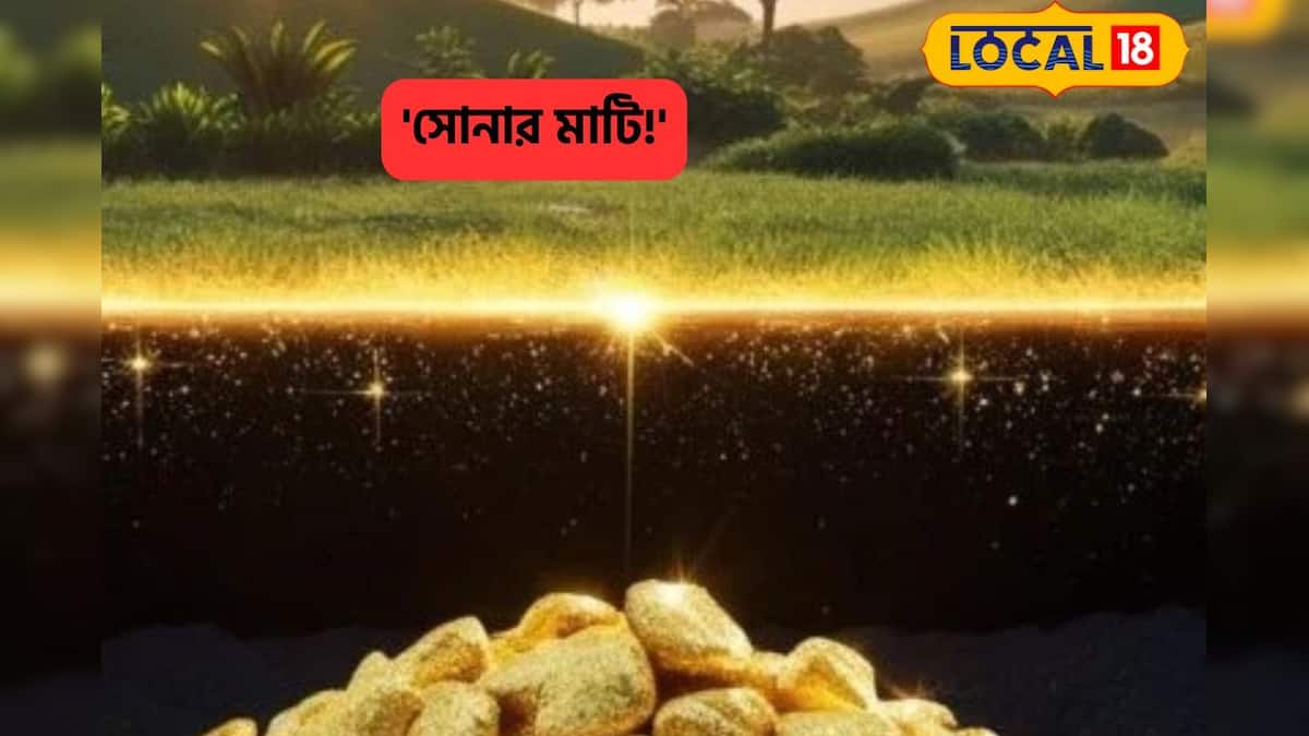 Land Turns Gold: উত্তরবঙ্গের ‘এই’ মাটিতে সোনা নয়, সোনাই হল মাটি! তোড়লপাড়ায় খোঁজ মিলল ‘জাদুমাটি’র Land Turns Gold: উত্তরবঙ্গের ‘এই’ মাটিতে সোনা নয়, সোনাই হল মাটি! তোড়লপাড়ায় খোঁজ মিলল ‘জাদুমাটি’র