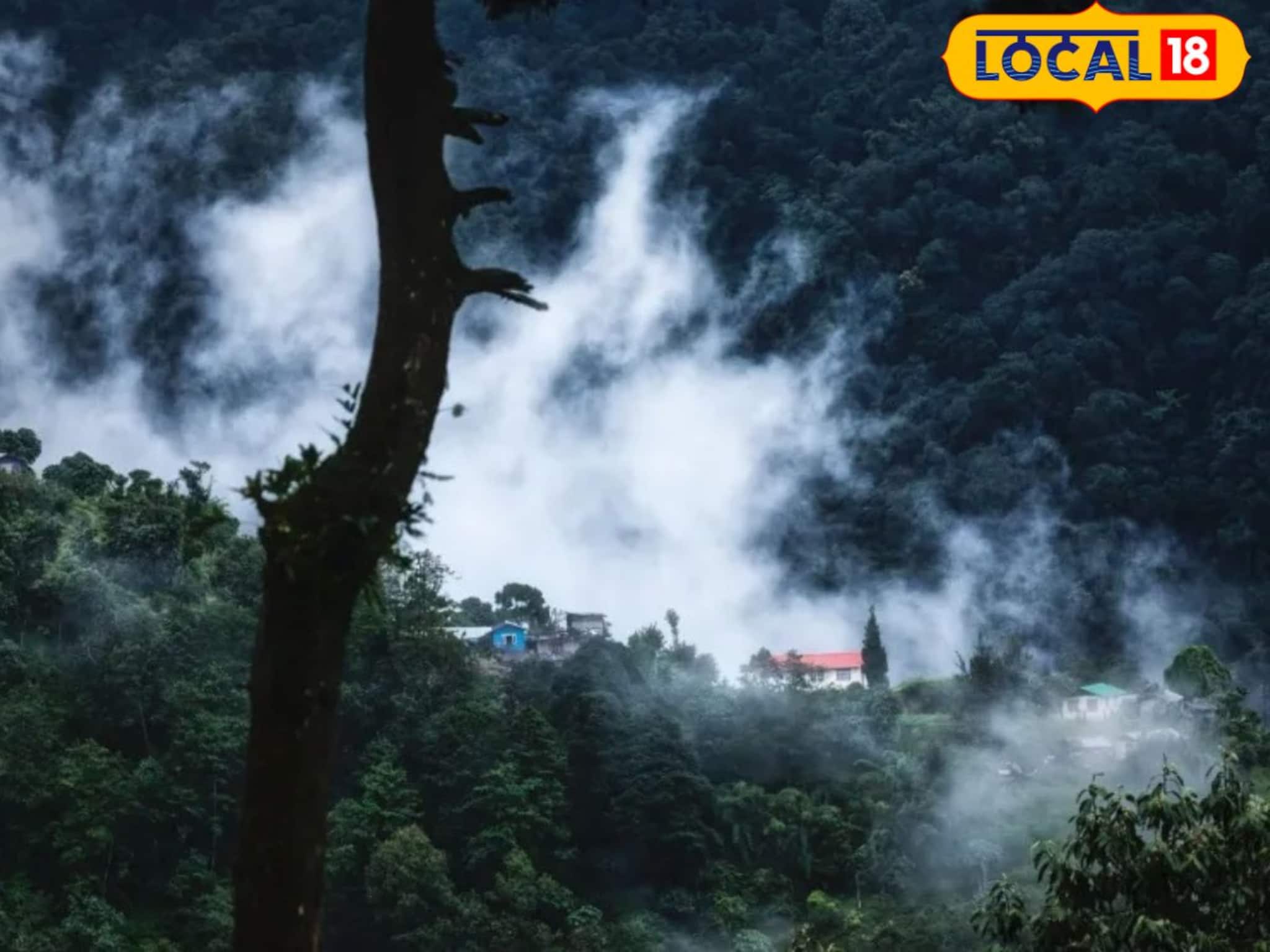 ডুয়ার্সের পাহাড়, জঙ্গল ঘুরুন এই বাসে বসে বসেই! বর্ষার দারুণ সাইড সিইং-এর সুযোগ,অল্প খরচে