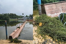 সাতসকালেই চরম দুঃসংবাদ! সুইমিংপুলে নামাটাই কাল হল, রবীন্দ্র সরোবরে তলিয়ে গেলেন যুবক