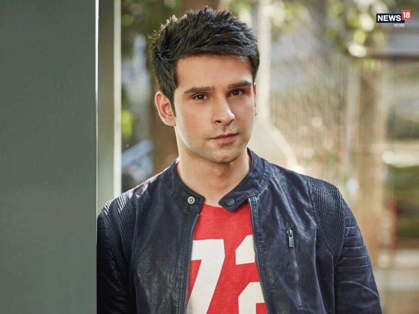 ‘রামাইয়া বাস্তবাইয়া’ ছবির পর মাত্র একটি ছবিতেই দেখা গিয়েছিল এই অভিনেতাকে। এর নাম ‘Loveshhuda’। নবনীত কৌর ধিলোঁর বিপরীতে দেখা গিয়েছিল তাঁকে। ২০১৬ সালে মুক্তি পেয়েছিল ছবিটি। তবে তা বক্স অফিসে মুখ থুবড়ে পড়েছিল। সমালোচকদের থেকে নেতিবাচক রিভিউ এসেছিল। এর পরে অবশ্য অভিনয় দুনিয়া ছেড়ে চলে গিয়েছিলেন অভিনেতা। তারপর থেকে তাঁকে আর কোনও ছবিতে দেখা যায়নি।