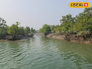 সুন্দরবন 