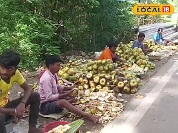 Ice Apple Business: লিচুকে বলে বলে গোল দিচ্ছে তাল! শাঁস বিক্রি করে ব্যবসাদার কত কামাচ্ছে জানেন! শুনলে আপনিও বলবেন ‘এত’