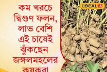 স্বল্প খরচে বিপুল লাভ! খুবই সস্তার এই ড্রাই ফ্রুট বয়ে আনবে প্রচুর টাকা