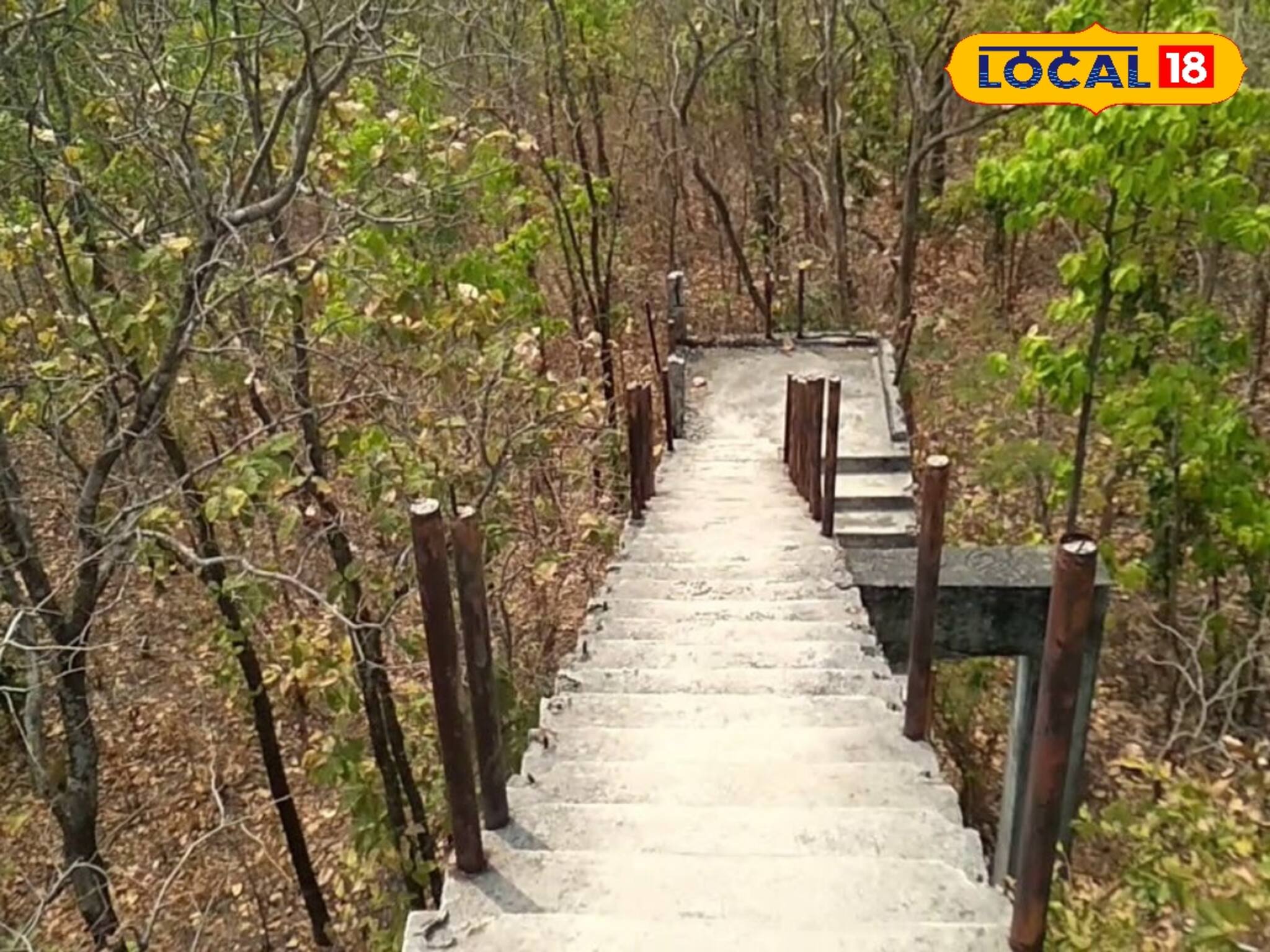 বাঁকুড়ার এই জঙ্গলের ঠিকানা অনেকেই জানে না, নাগরিক সভ্যতা থেকে দূরে, প্রকৃতির অমূল্য সৃষ্টি