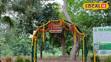 হাওড়ার