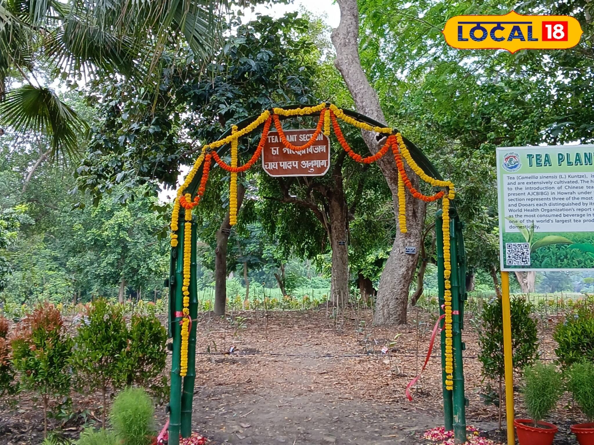 পাহাড়ের প্রিয় জিনিসটি এবার কলকাতার ঢিল ছোঁড়া দূরত্বে বিখ্যাত এই জায়গায়