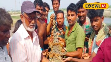 কুলতলীতে