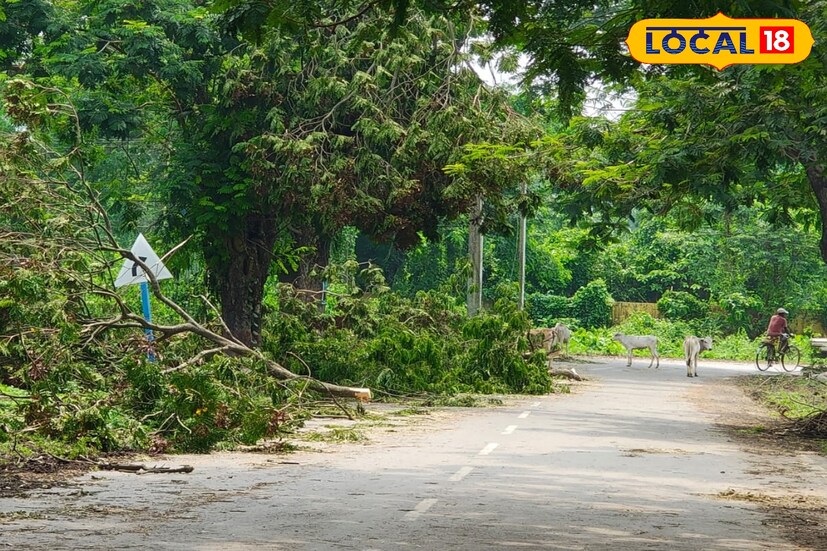রাস্তার উপর পরে থাকা গাছপালা ফরাক্কা বাঁধ প্রকল্পের সিআইএসএফ ও স্থানীয় বাসিন্দারা একত্রিত হয়ে সরানোর কাজে হাত লাগায়। যেহেতু ফরাক্কার বাঁধ প্রকল্পের আবাসনের বাড়ি-ঘর প্রায় পঞ্চায় বছরের পুরানো, তাই এই ঝড়ের দাপটে বড়-বড় গাছ পরে অনেক বাড়ি ঘরের ক্ষতি হয়েছে। বিদ্যুৎ গতকাল রাত থেকেই নেই, সমস্যায় পড়েছে আবাসনের বাসিন্দারা। 