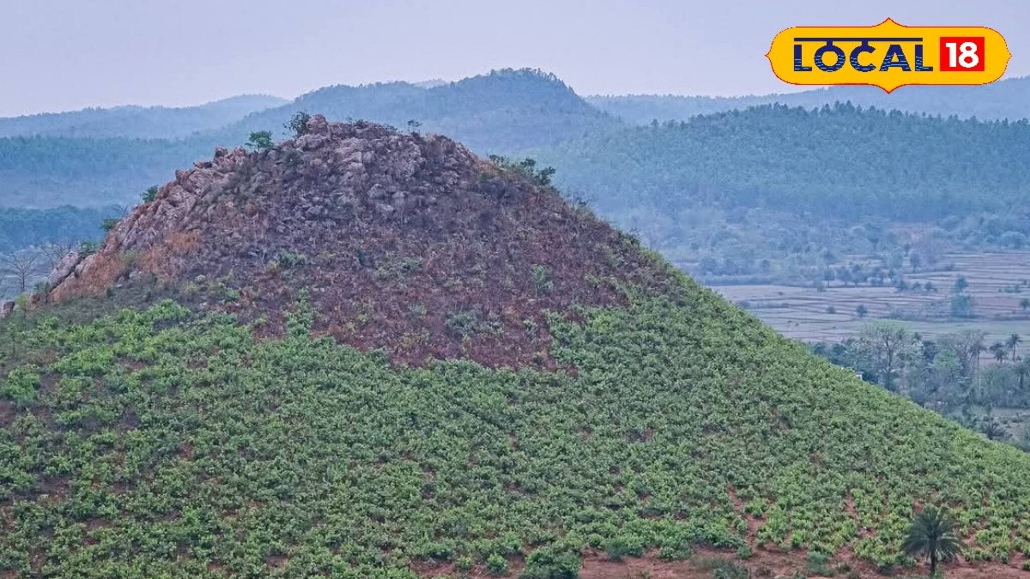 Belpahari: ঝিরঝিরে বৃষ্টিতে  জঙ্গলের রোমাঞ্চ, হঠাৎ-বাঘ-দেখতে-পাওয়া! সুযোগে ঢুঁ মারুন বেলপাহাড়িতে