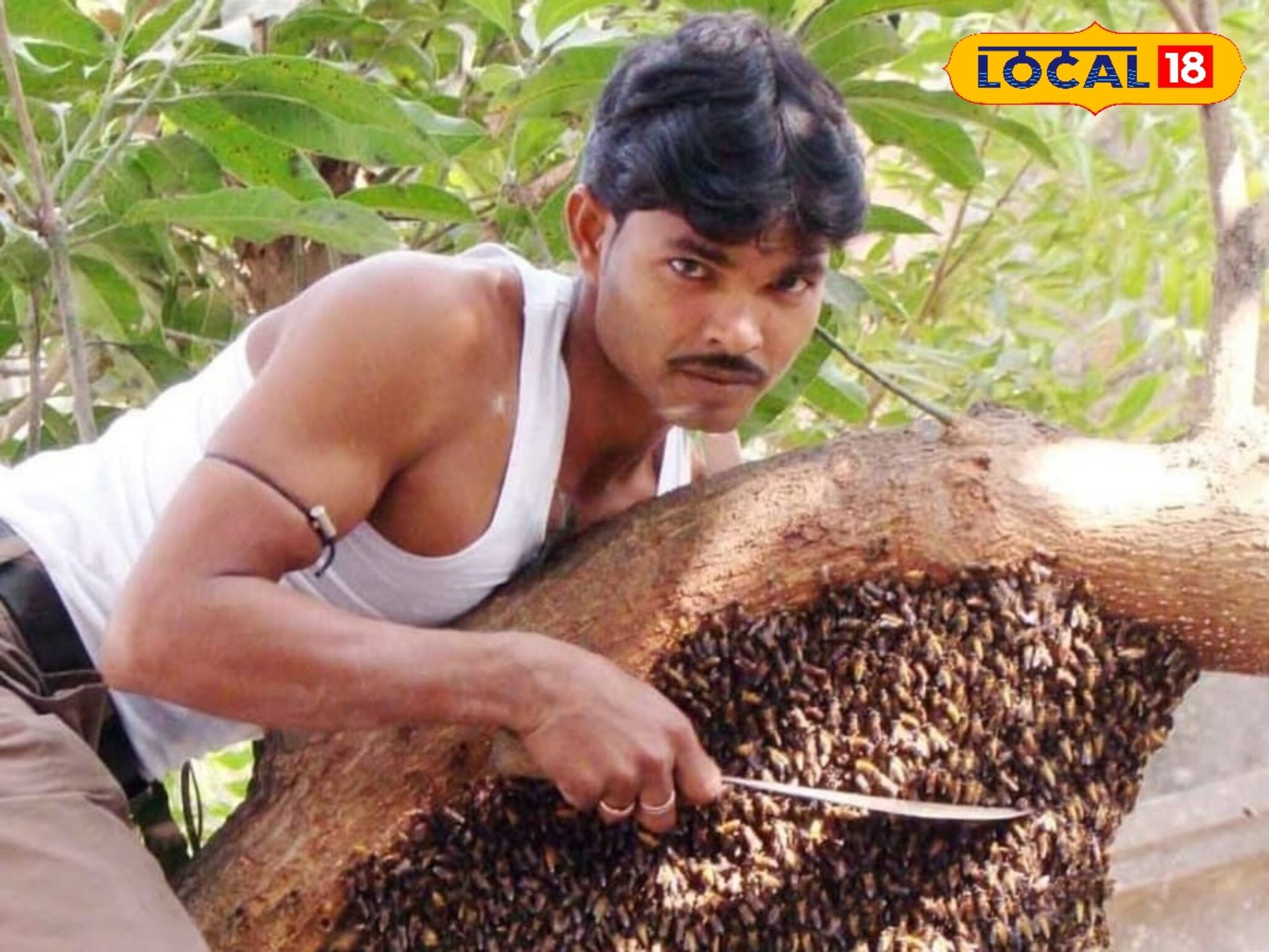 মৌমাছিদের সঙ্গে সংসার! সহ্য করেন ৫০০ মৌমাছির কামড়, বাঁকুড়ার বিম্যান-কে চেনেন?