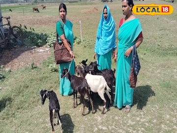 ছাগল