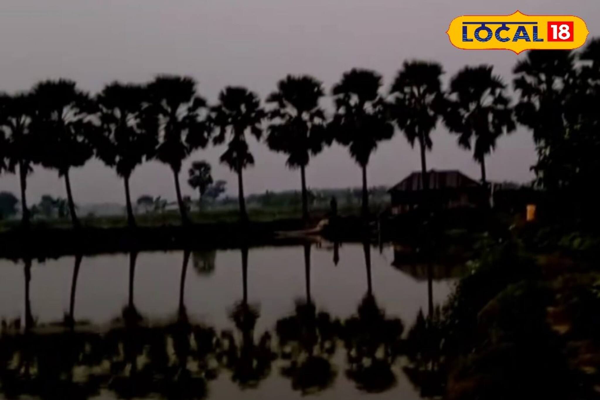 সুন্দরবনের নদীবাঁধ বাঁচাতে তালগাছ রোপনের বার্তা গবেষকের