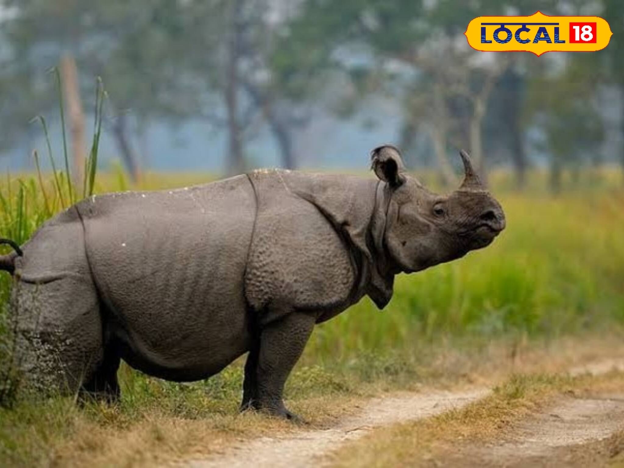 ভয়ে কাঁপছে চোরাশিকারীরা! জঙ্গলে দাপিয়ে বেড়াচ্ছে 'অরল্যান্ডো'! চেনেন তাকে