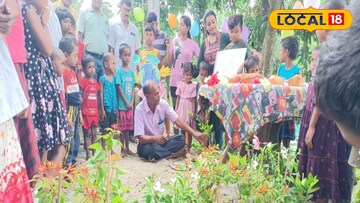 গাছেদের