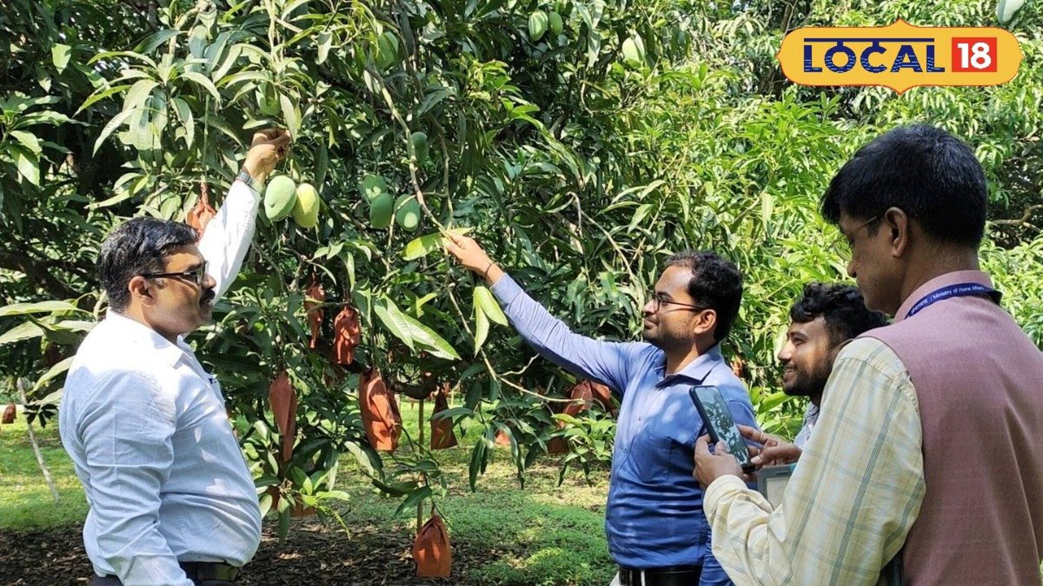 ফলন বাড়বে কয়েকগুণ, বাড়বে মুনাফাও! কীভাবে? জেলায় এসে সেটাই জানালেন কেন্দ্রীয় প্রতিনিধিরা