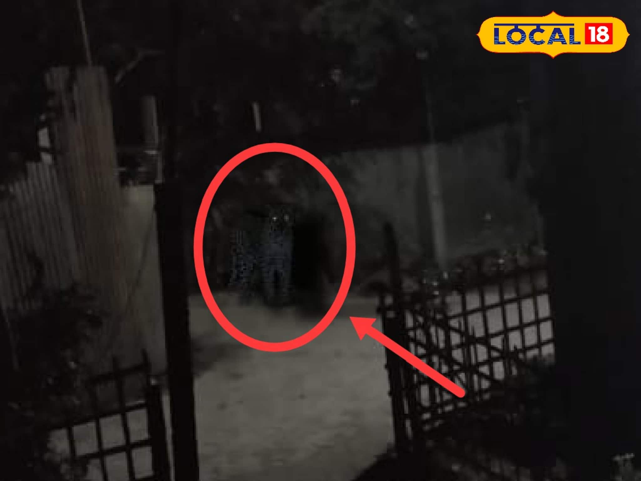 ঘুটঘুটে অন্ধকারে চোখ জ্বলজ্বল করছে ওটা কি! পরে জানাজানি হতেই সাংঘাতিক আতঙ্ক কোচবিহারে