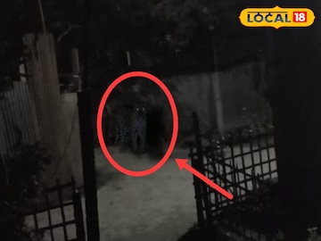 Leopard Panic: ঘুটঘুটে অন্ধকারে চোখ জ্বলজ্বল করছে ওটা কি! পরে জানাজানি হতেই সাংঘাতিক আতঙ্ক কোচবিহারে Leopard Panic: ঘুটঘুটে অন্ধকারে চোখ জ্বলজ্বল করছে ওটা কি! পরে জানাজানি হতেই সাংঘাতিক আতঙ্ক কোচবিহারে