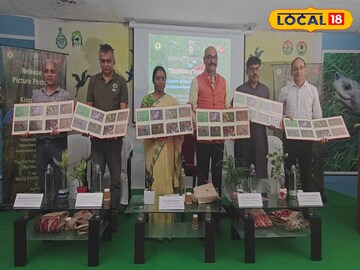মাছ রাঙা পাখির ছবি জায়গা করে নিল পোস্ট কার্ডে
