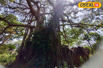 শত শত বছরের পুরানো বনানী ঘেরা বাঁকুড়ার রাজবাড়ি, সপ্তাহান্তে ঘুরে আসুন শত শত বছরের পুরানো বনানী ঘেরা বাঁকুড়ার রাজবাড়ি, সপ্তাহান্তে ঘুরে আসুন
