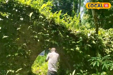 এবারে চিলাপাতা এলে জানতে পারবেন এক চমকে দেওয়া ইতিহাস! নিজেরই বিশ্বাস হবে না