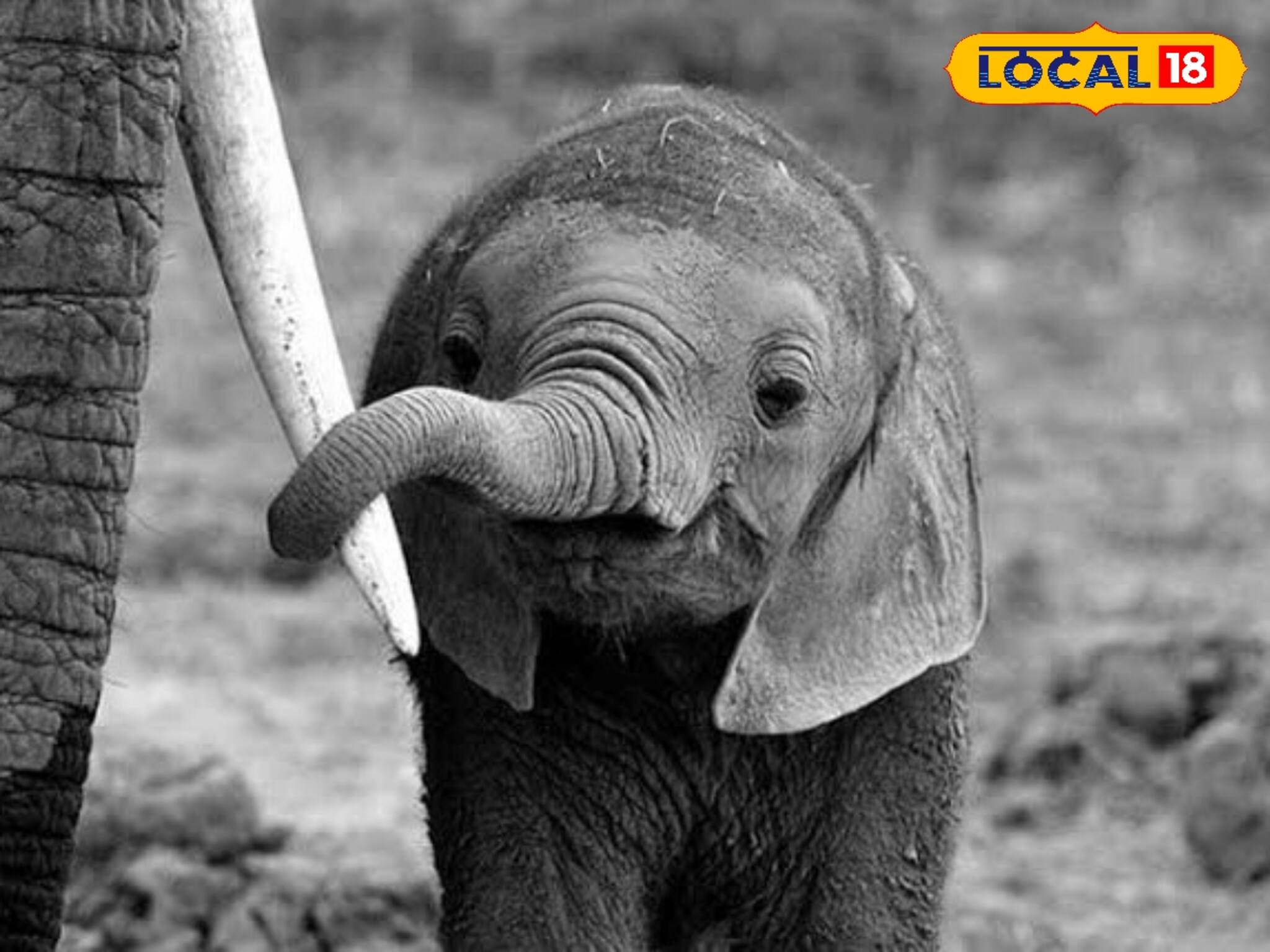 ফুটফুটে কন্যাসন্তানের জন্ম দিল রামি! চলছে মা-সন্তানের চরম সেবাযত্ন, দেখে নিন ছবিতে