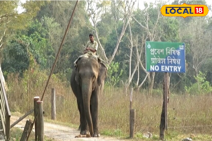 গরুমারা বন্যপ্রাণ বিভাগের এডিএফও রাজীব দে জানিয়েছেন, “রামি ও তার কন্যা হাতি উভয়েই সুস্থ রয়েছে। তাঁদের দেখভালের কোনও খামতি নেই। নজরদারি চলছে নিরবচ্ছিন্নভাবে।