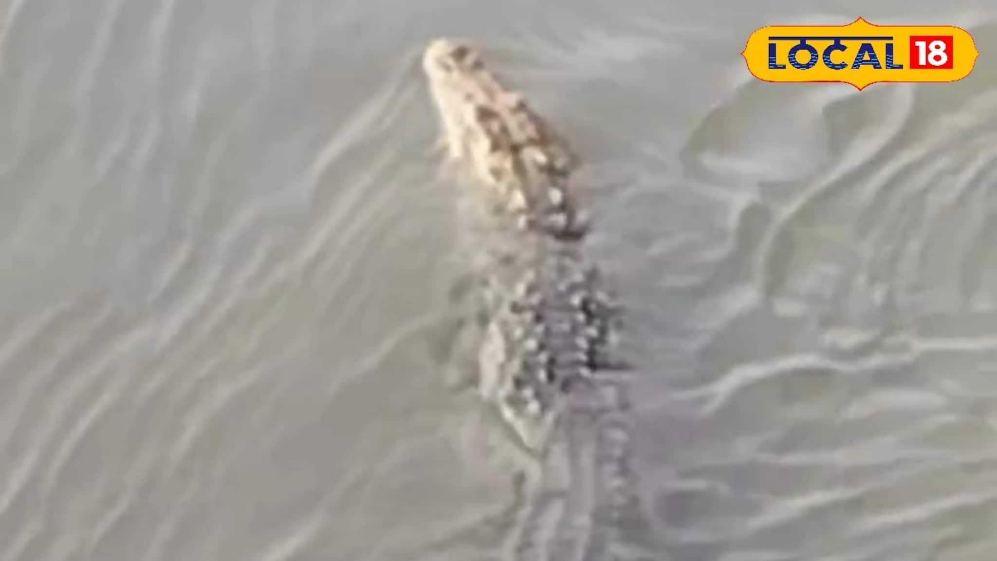 কালো কুচকুচে ওটা কী! নামলেই গিলে খাবে...! গঙ্গায় বিশাল আকৃতির দানব আতঙ্ক, সাবধান!