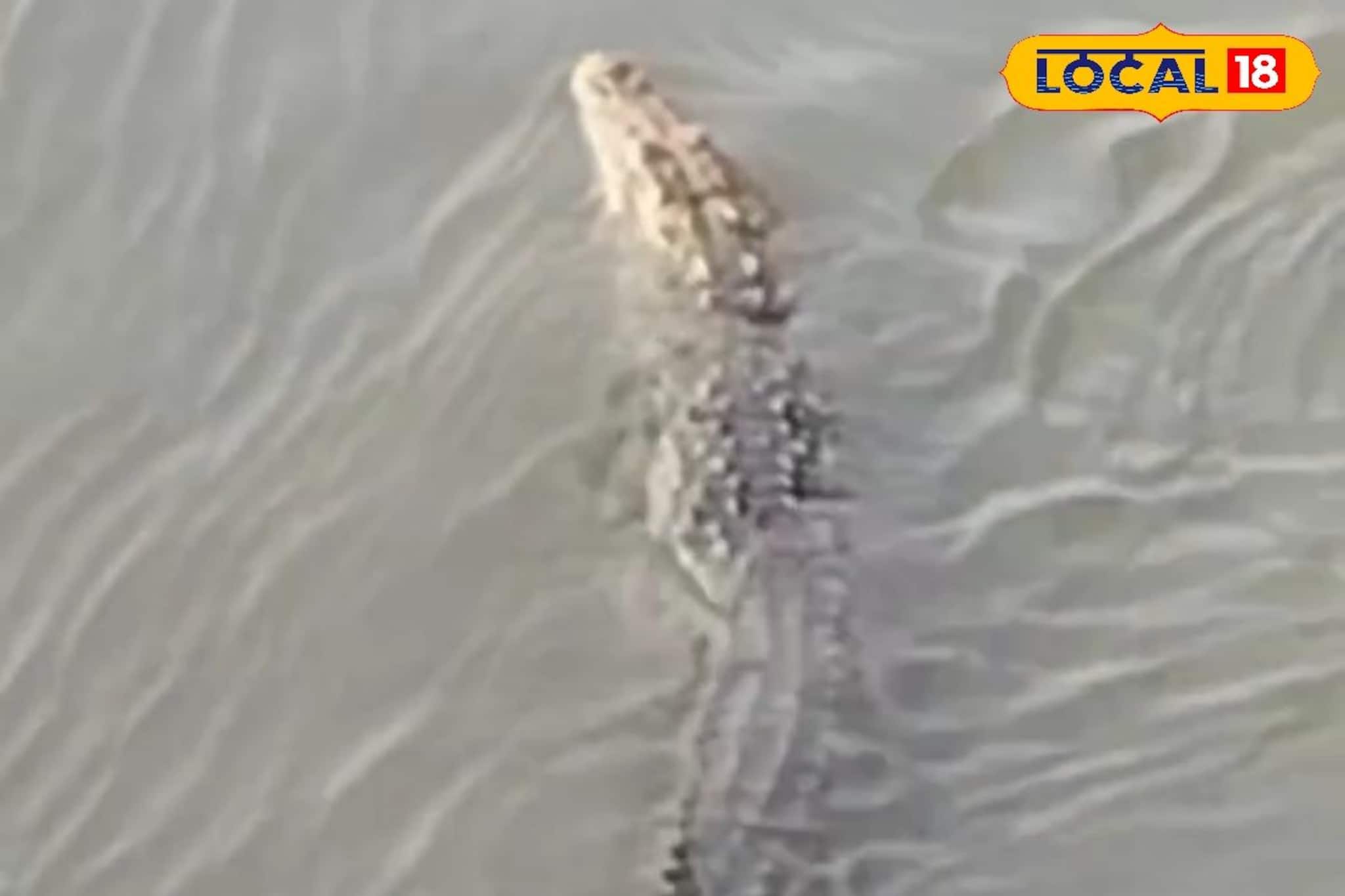 কালো কুচকুচে ওটা কী! নামলেই গিলে খাবে...! গঙ্গায় বিশাল আকৃতির দানব আতঙ্ক, সাবধান!