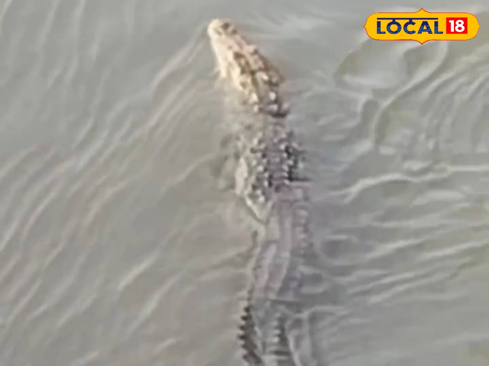 কালো কুচকুচে ওটা কী! নামলেই গিলে খাবে...! গঙ্গায় বিশাল আকৃতির দানব আতঙ্ক, সাবধান!