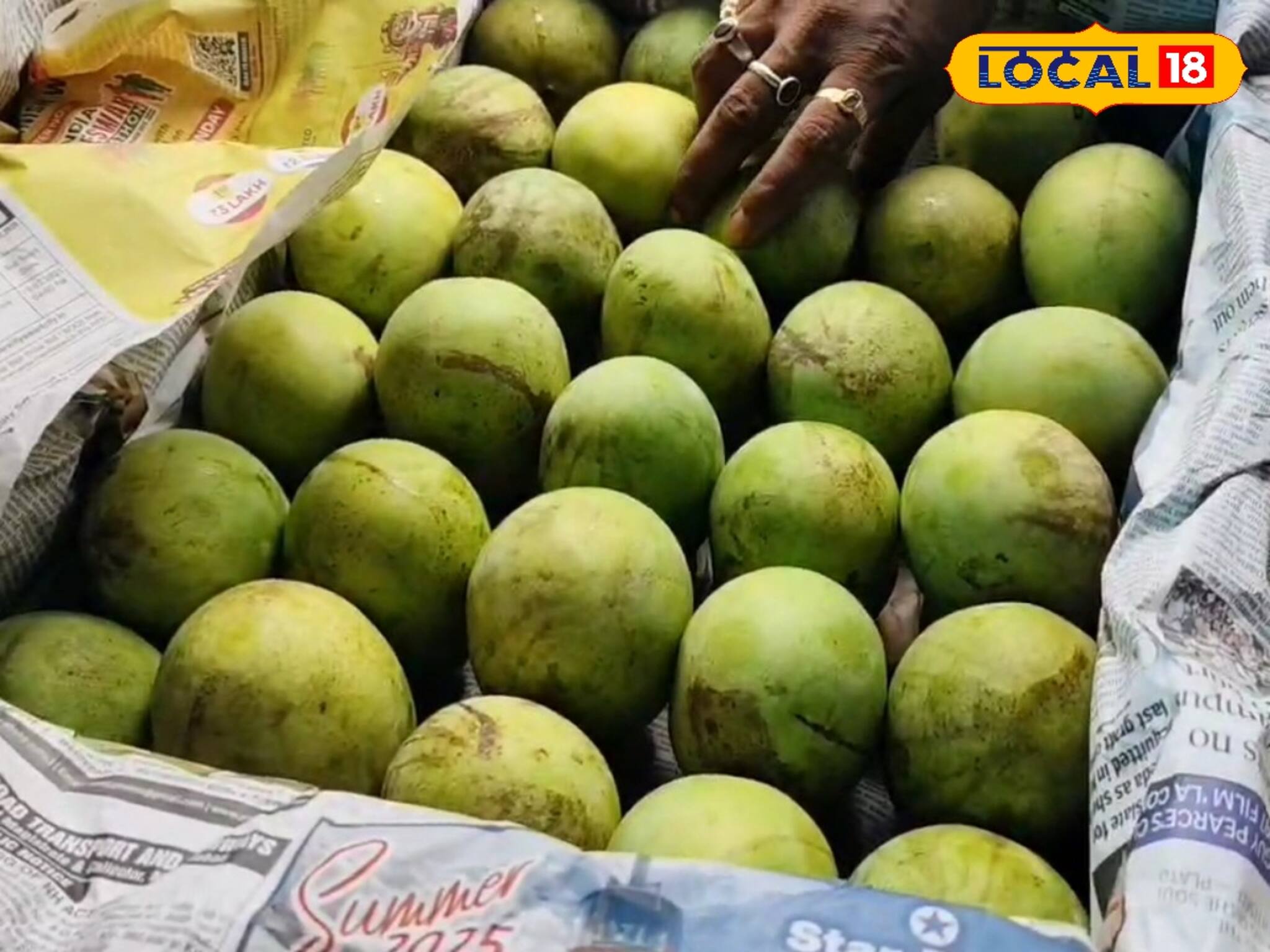 আমের জেলা মালদা হলেও পিছিয়ে নেই হুগলিও ! আম পাড়ি দিচ্ছে দেশের বিভিন্ন রাজ্যে