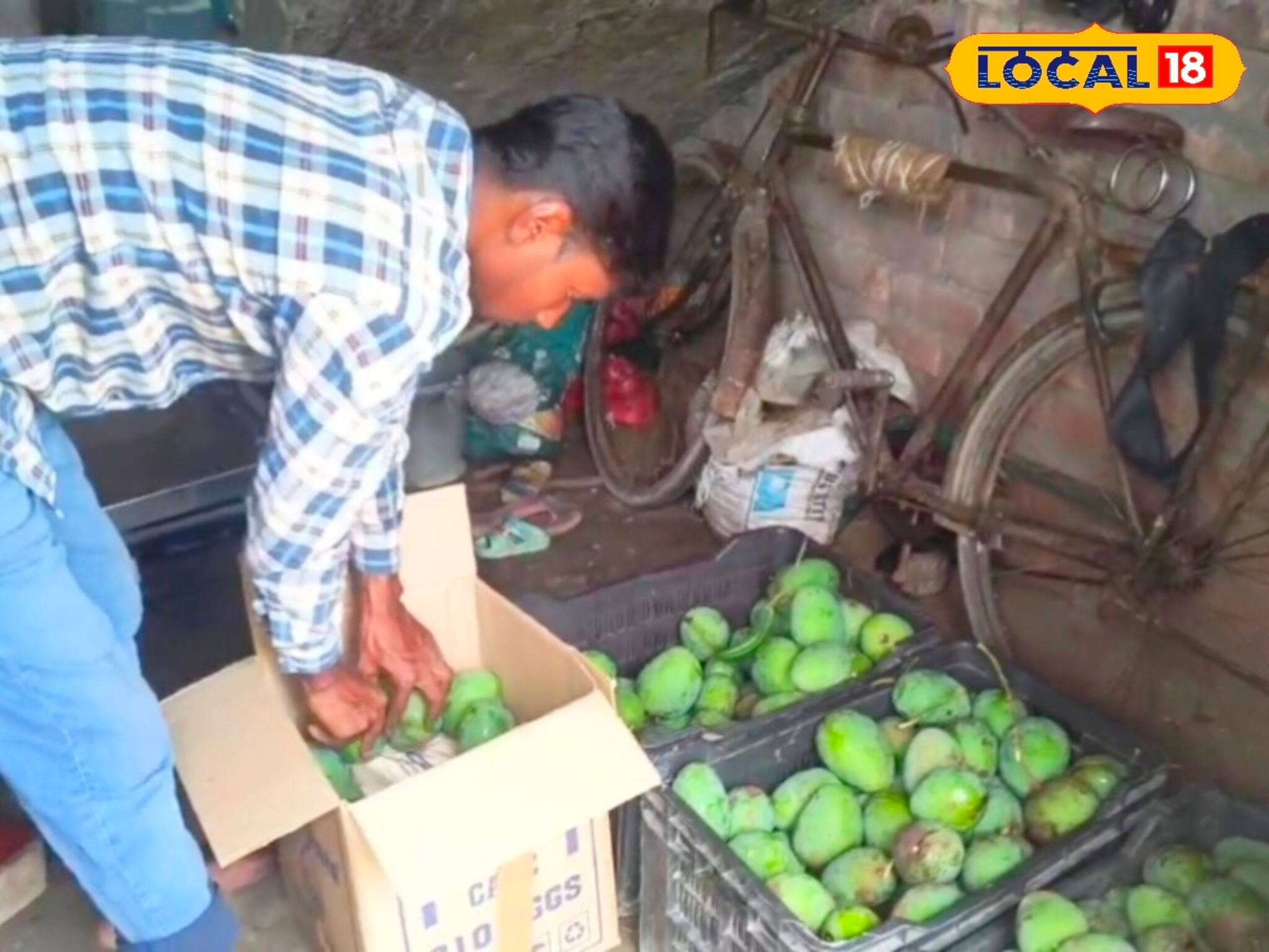 চাকরি নয়, আম বিক্রি করেই কোটিপতি! হতে পারেন আপনিও, জেনে নিন কীভাবে!