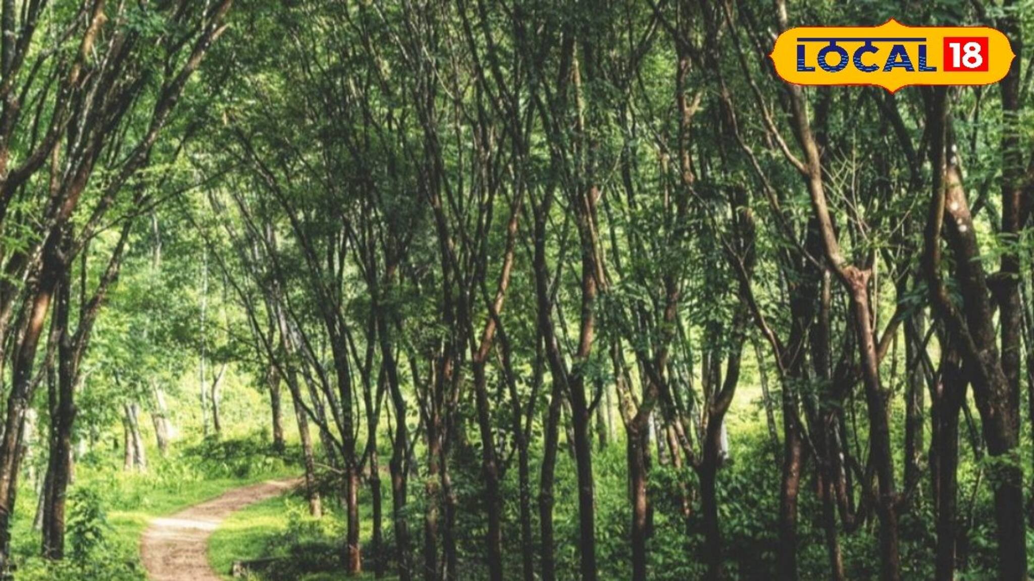 Shikar Utsav: আচমকা শুশুনিয়া পাহাড়ে মোতায়েন গুচ্ছেক বনকর্মী, পুলিশ! কি এমন ঘটল বাঁকুড়ার মত সুন্দর, মায়াবি জায়গায়!