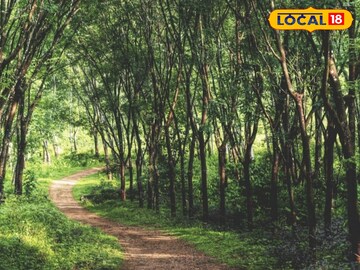 শুশুনিয়া