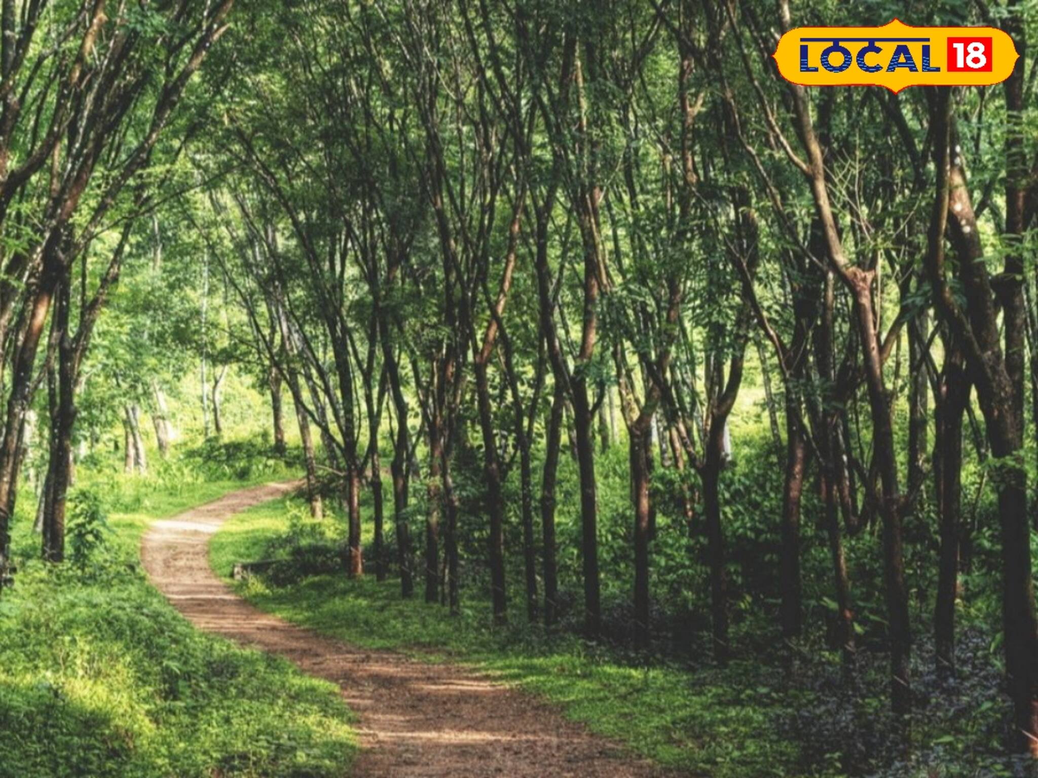 আচমকা শুশুনিয়া পাহাড়ে মোতায়েন গুচ্ছেক বনকর্মী, পুলিশ!কি এমন ঘটল বাঁকুড়ার মত সুন্দর জায়গায়